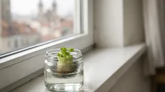 Košťál od zelí nevyhazujte: jak z něj doma vypěstovat nové listy i malé hlávky