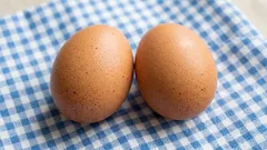 Vejce – mýt, nebo nemýt: odpověď odborníka