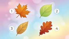 Test typů osobnosti: zjistěte svou míru pozornosti